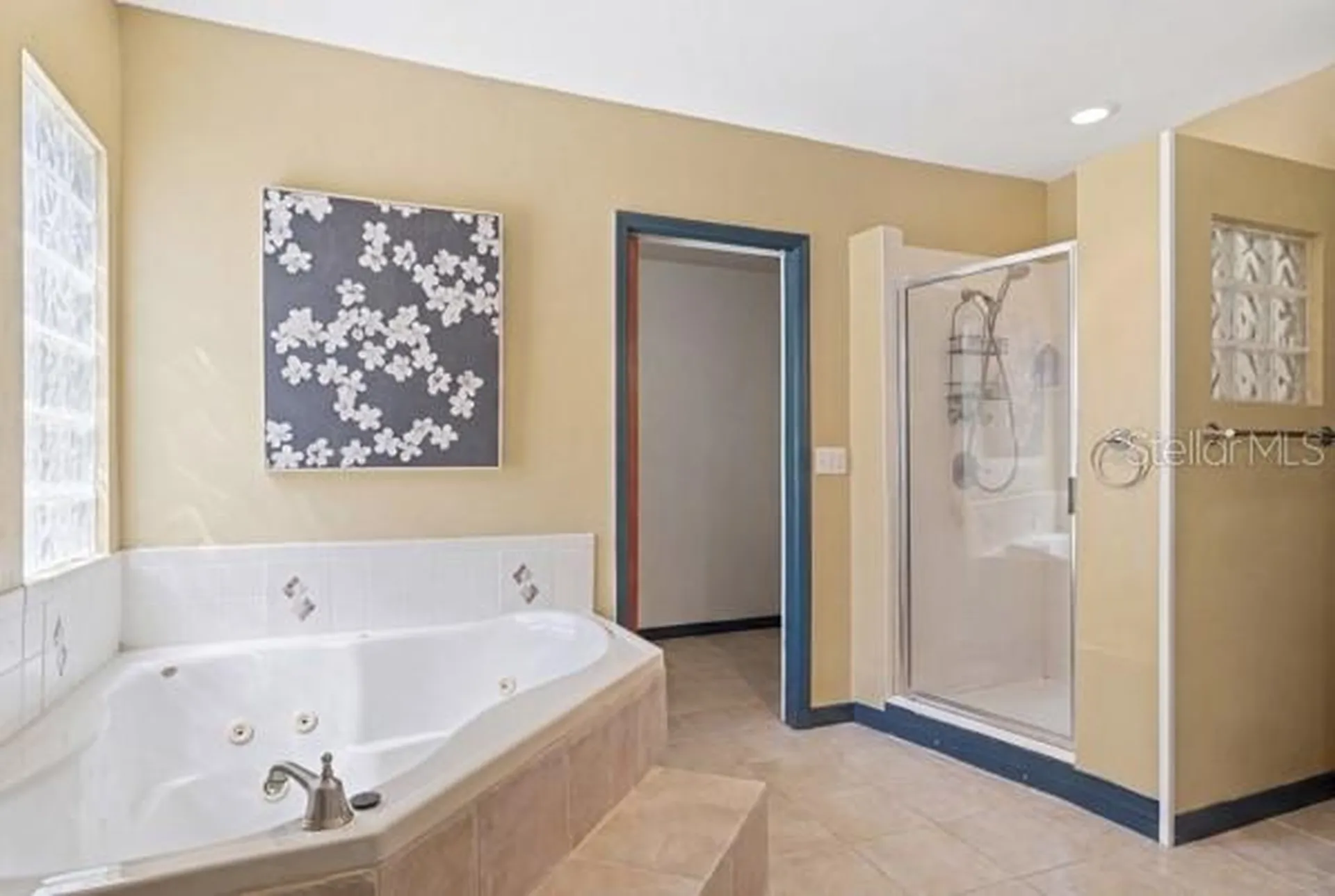 511 E Mirror Lake Drive Fruitland Park FL 34731