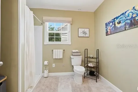 511 E Mirror Lake Drive Fruitland Park FL 34731