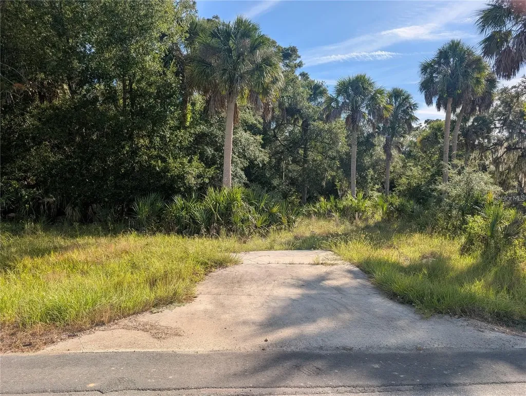 11009 N Withla Bluff Point Inglis FL 34449