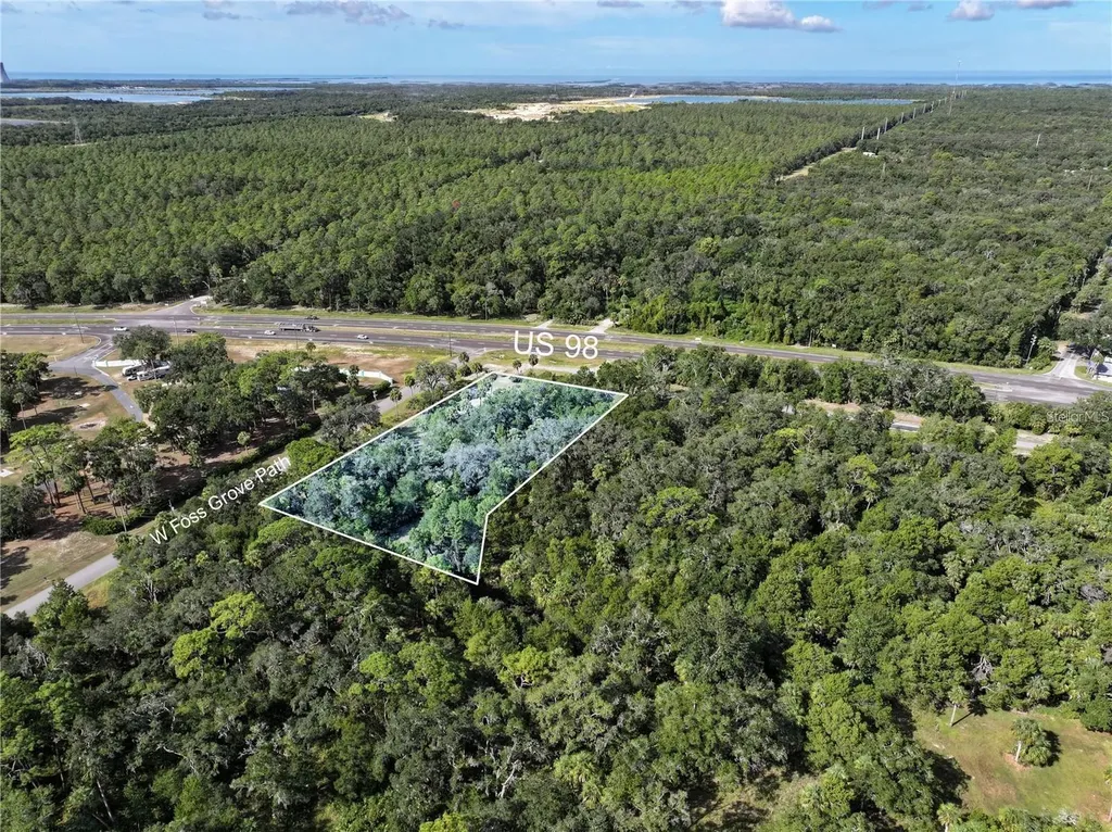 11009 N Withla Bluff Point Inglis FL 34449