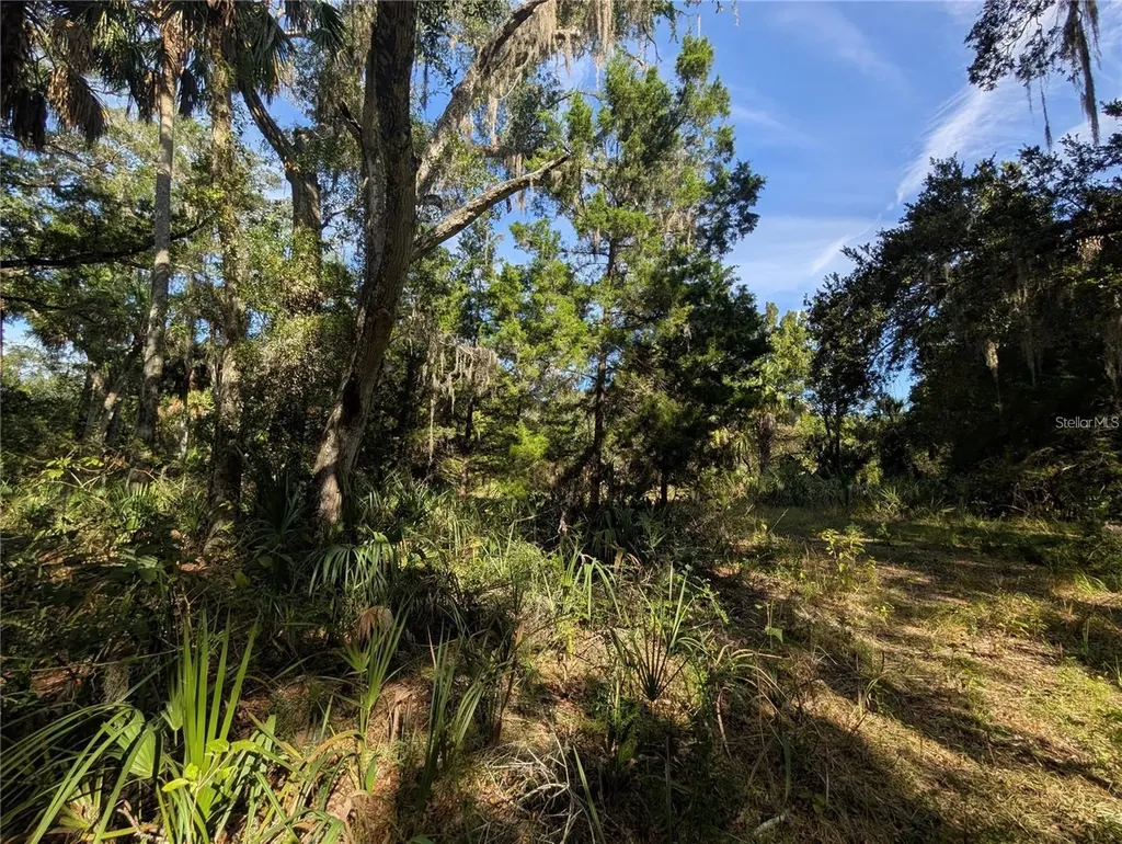 11009 N Withla Bluff Point Inglis FL 34449