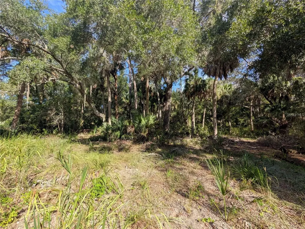 11009 N Withla Bluff Point Inglis FL 34449