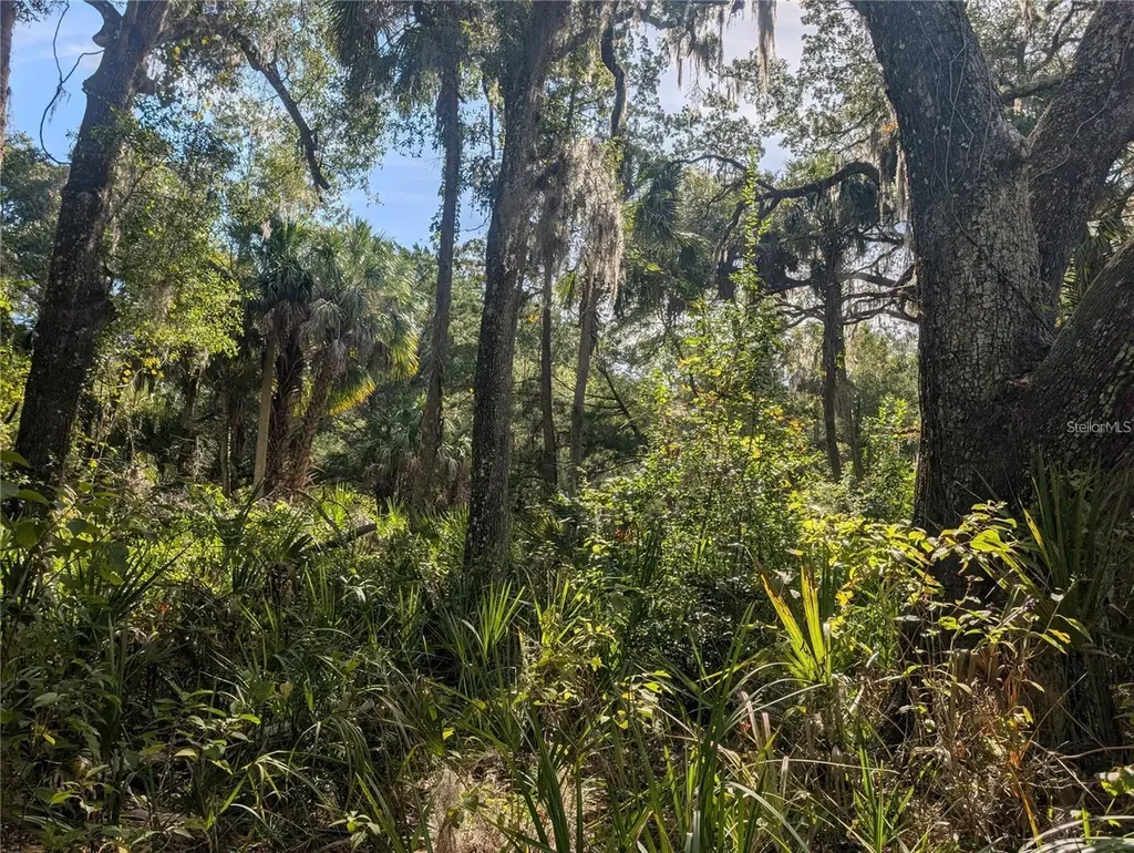 11009 N Withla Bluff Point Inglis FL 34449