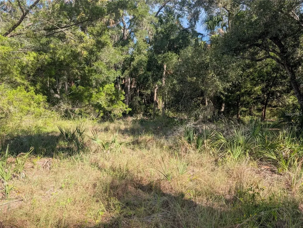 11009 N Withla Bluff Point Inglis FL 34449