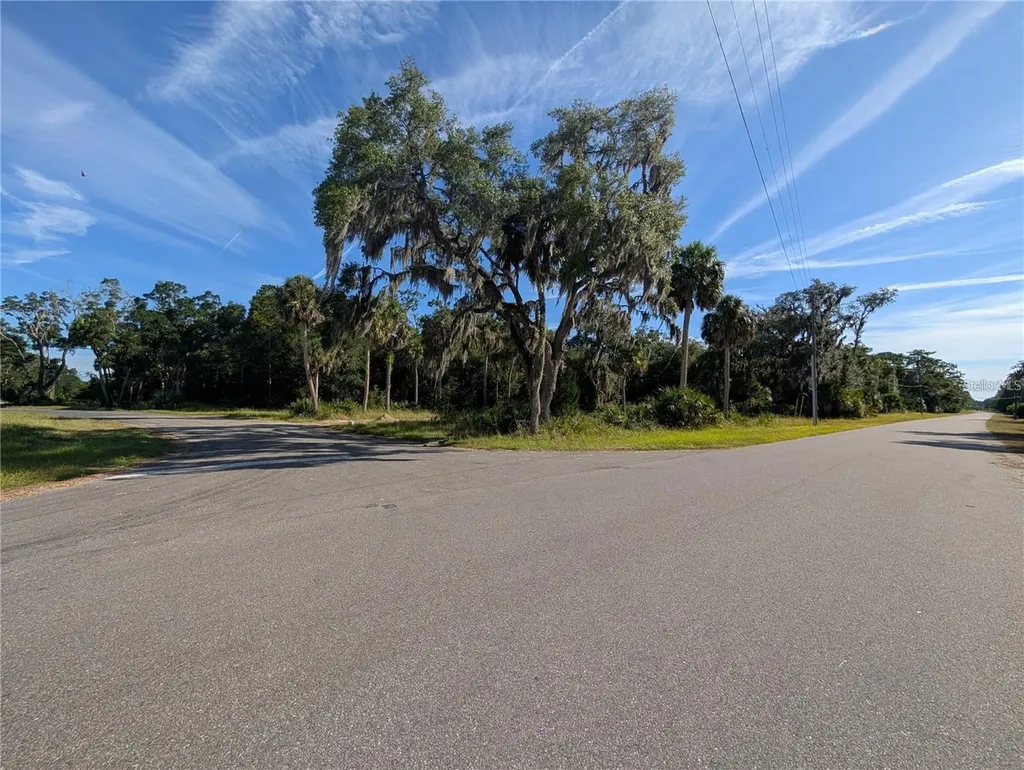 11009 N Withla Bluff Point Inglis FL 34449