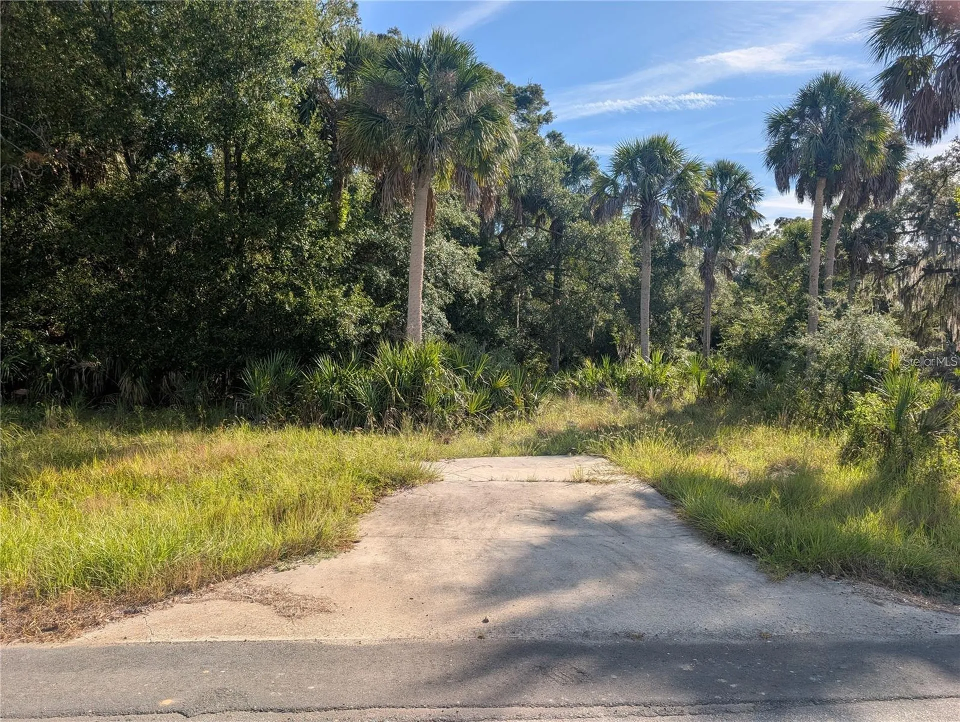 11009 N Withla Bluff Point Inglis FL 34449
