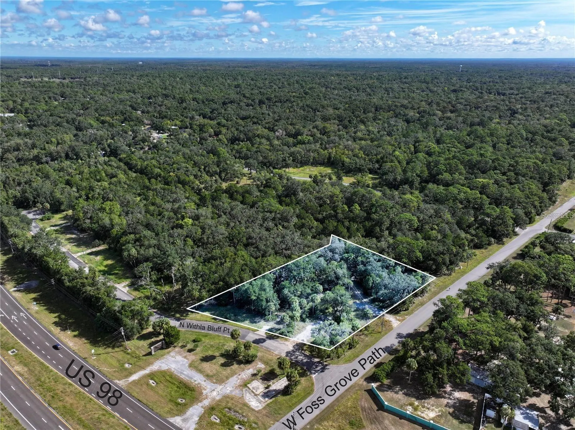 11009 N Withla Bluff Point Inglis FL 34449