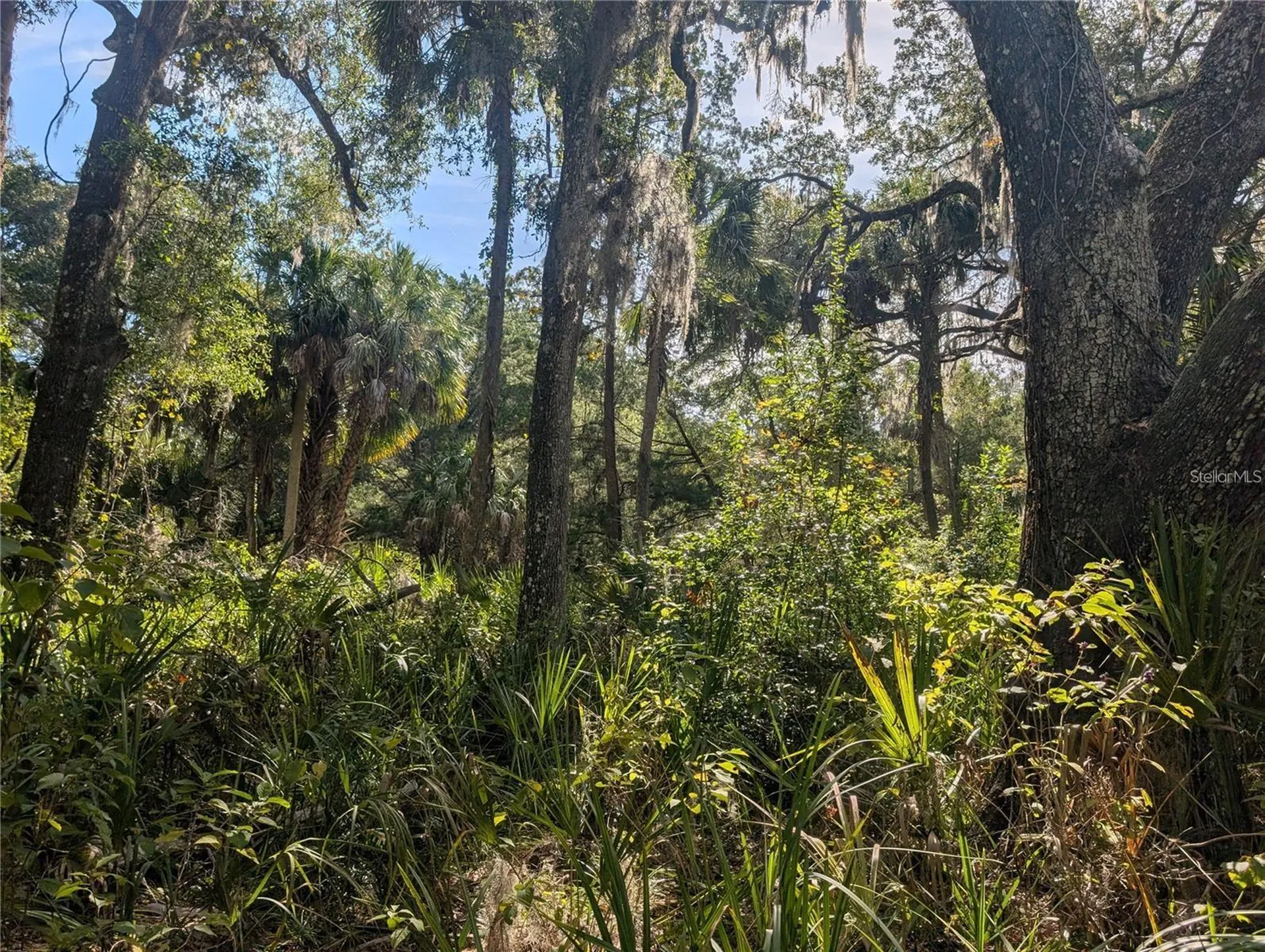 11009 N Withla Bluff Point Inglis FL 34449
