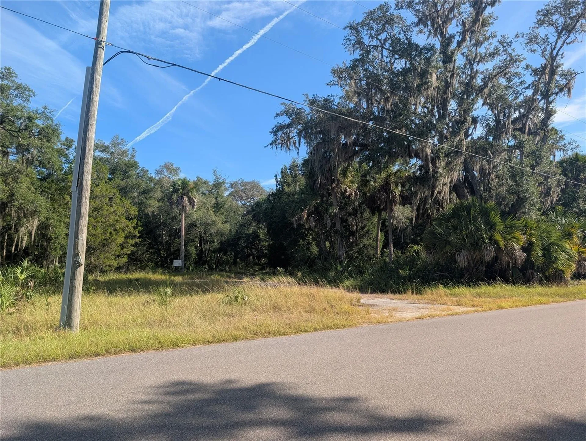11009 N Withla Bluff Point Inglis FL 34449