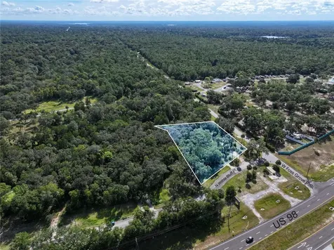 11009 N Withla Bluff Point Inglis FL 34449