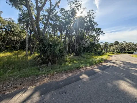 11009 N Withla Bluff Point Inglis FL 34449