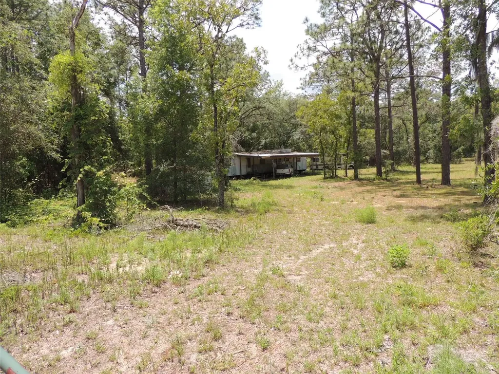 250 NE 131st Avenue Williston FL 32696