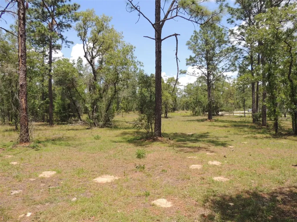 250 NE 131st Avenue Williston FL 32696