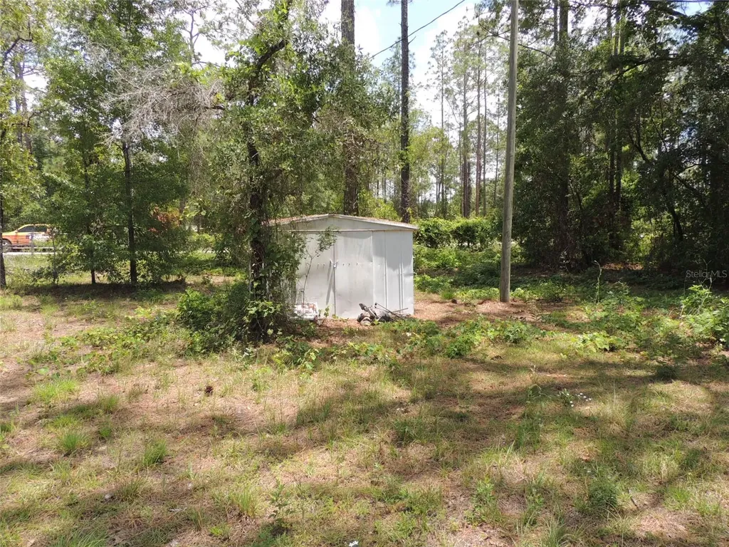 250 NE 131st Avenue Williston FL 32696