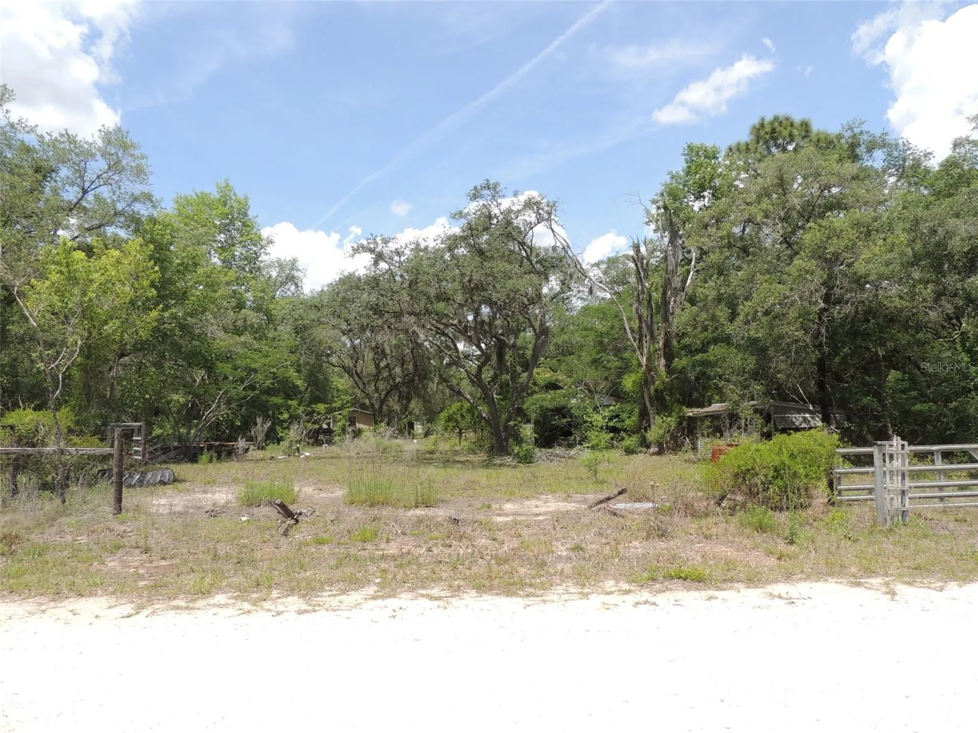 250 NE 131st Avenue Williston FL 32696