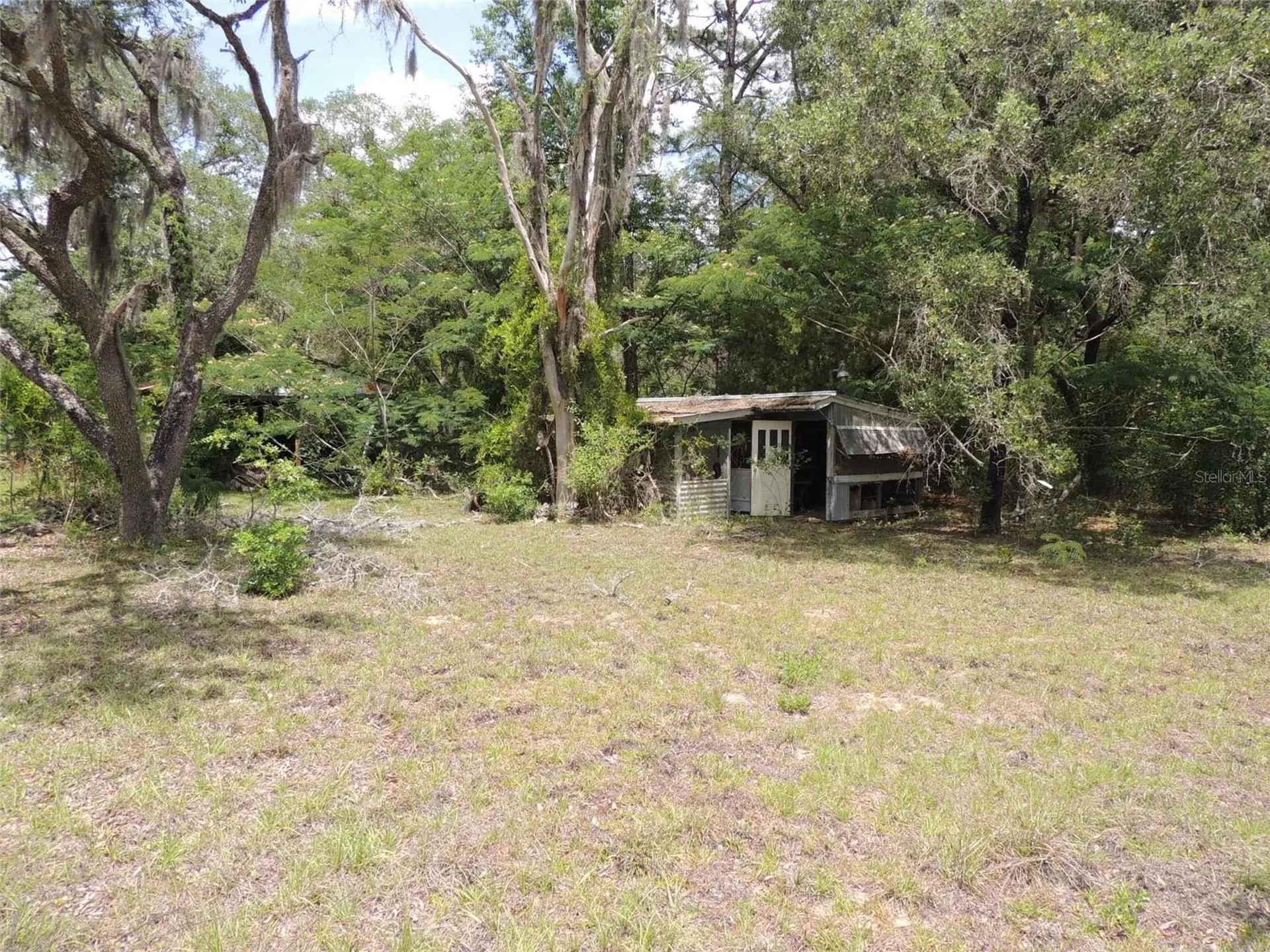 250 NE 131st Avenue Williston FL 32696