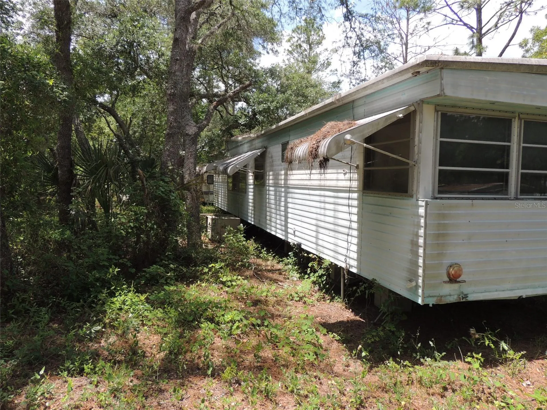 250 NE 131st Avenue Williston FL 32696