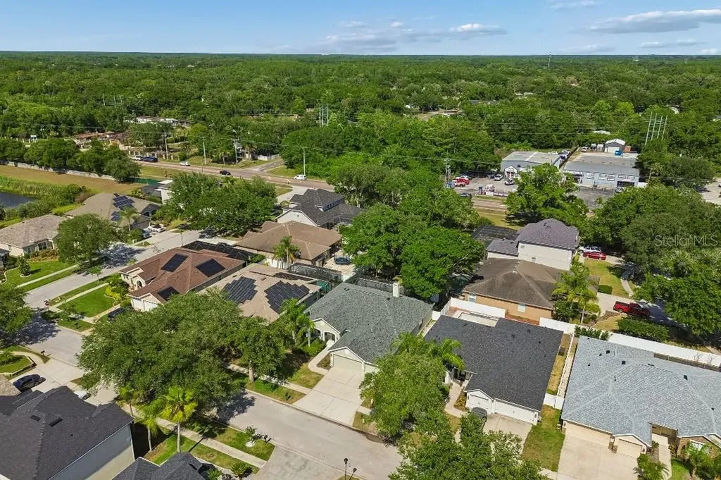 15217 Octavia Lane Odessa FL 33556