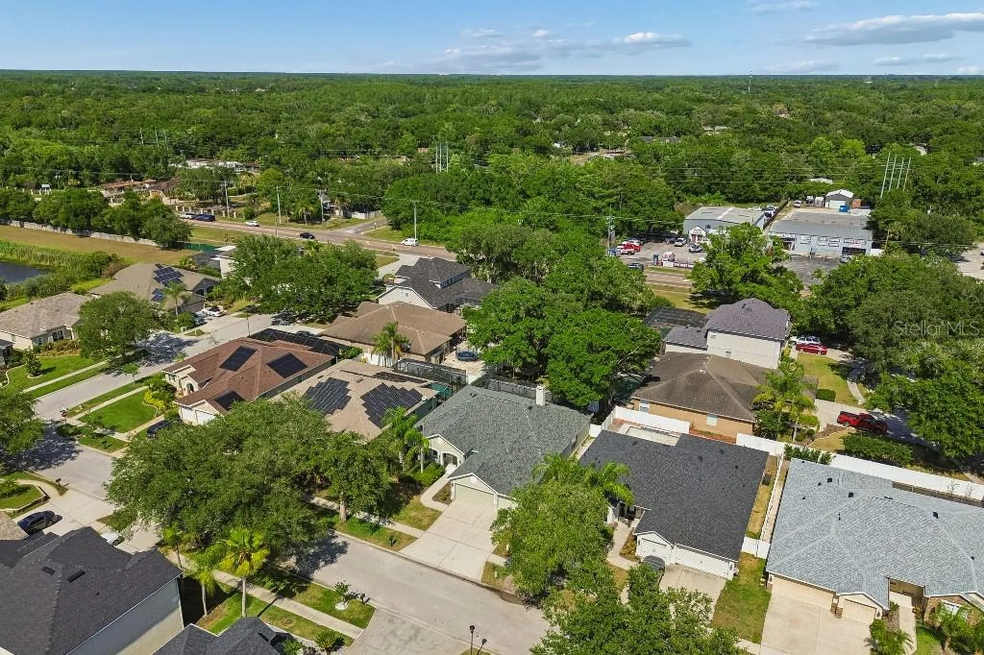 15217 Octavia Lane Odessa FL 33556