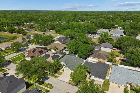 15217 Octavia Lane Odessa FL 33556