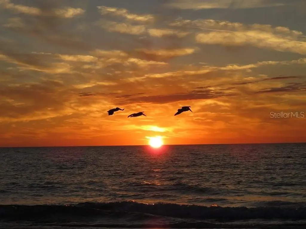 611 Gulf Drive N Bradenton Beach FL 34217