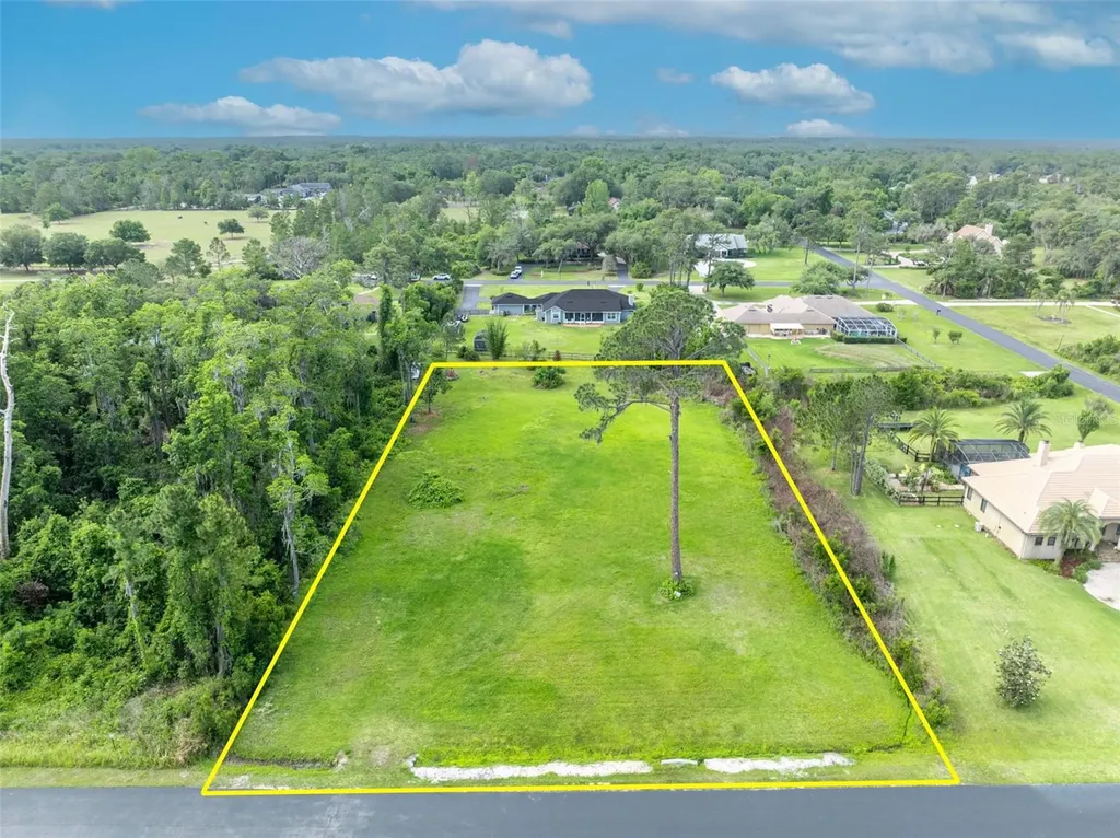 Mill Pond Road Tavares FL 32778