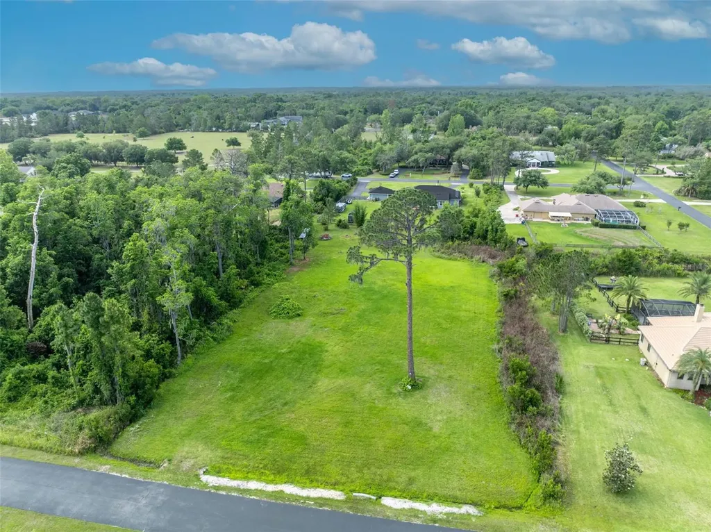 Mill Pond Road Tavares FL 32778