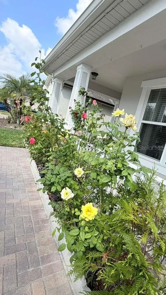 5233 Dove Tree Street Orlando FL 32811