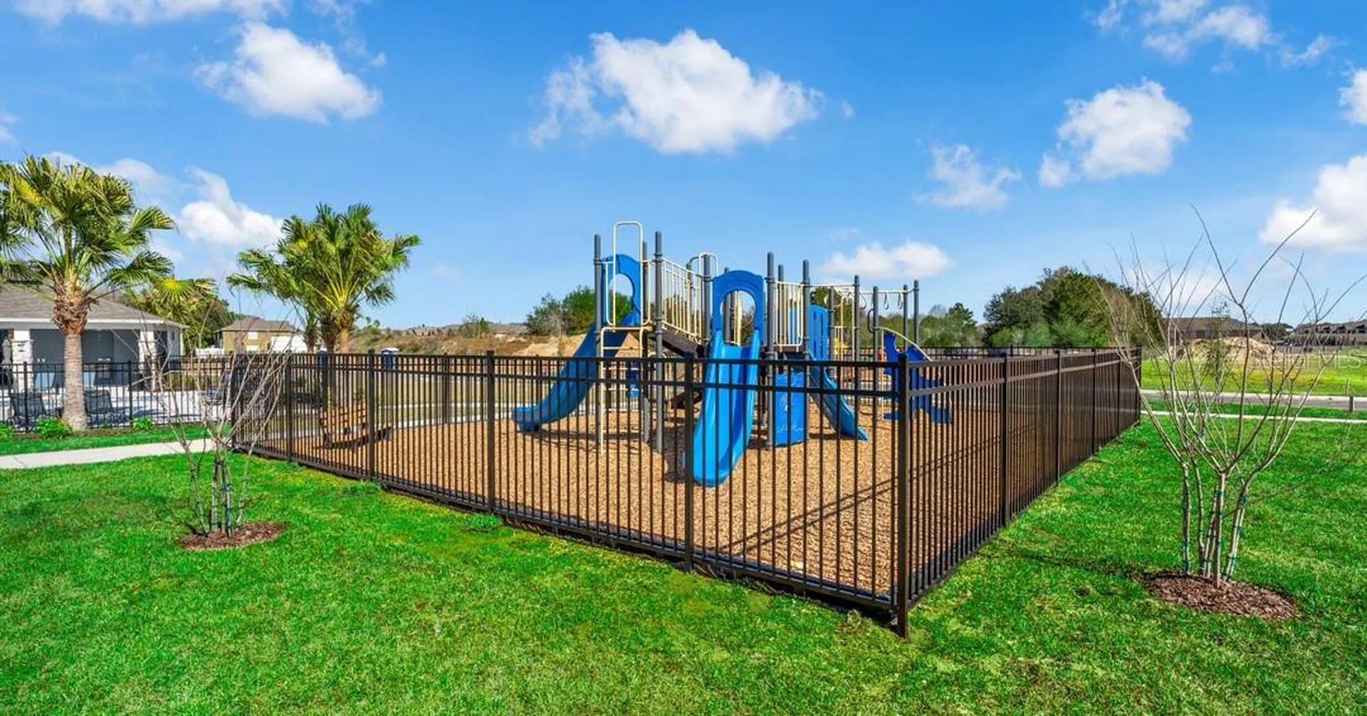 1735 Fan Palm Drive Davenport FL 33897