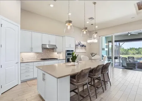 11717 Golden Bay Place Lakewood Ranch FL 34211