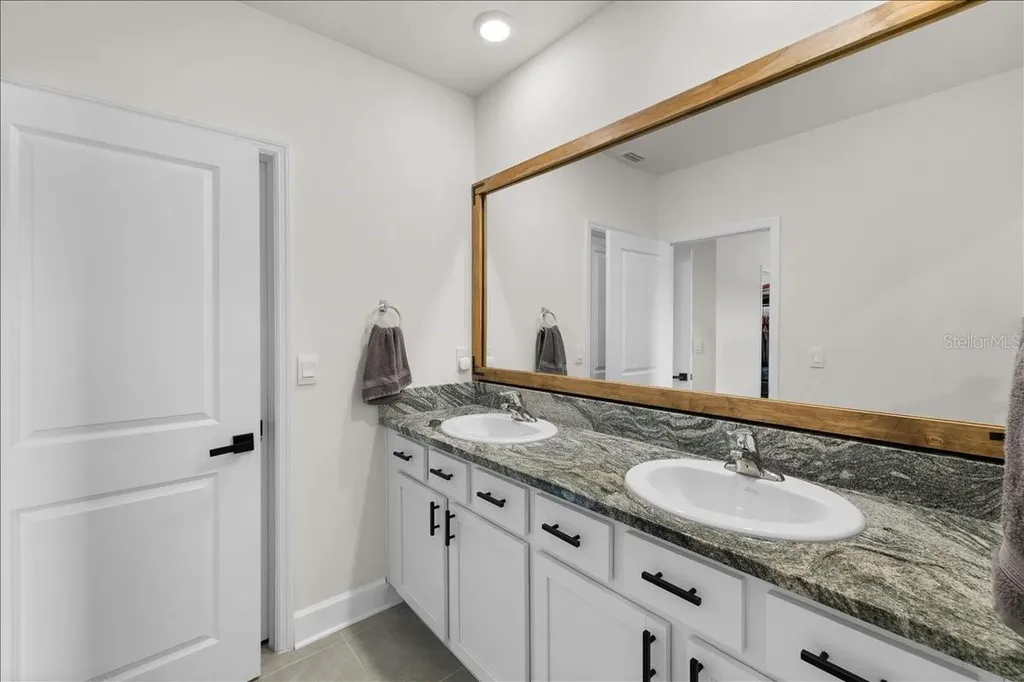 32419 Turtle Grace Loop Wesley Chapel FL 33545