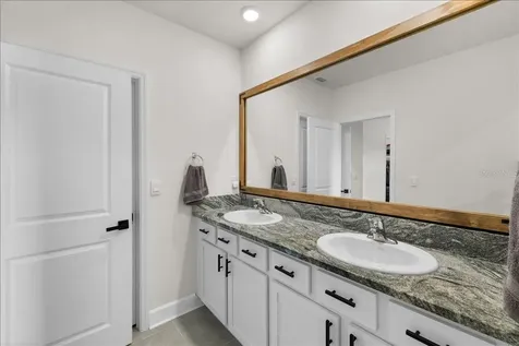 32419 Turtle Grace Loop Wesley Chapel FL 33545