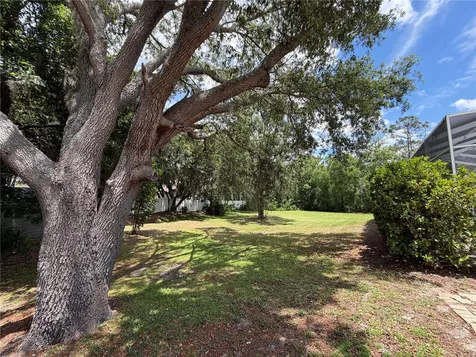 2966 Post Rock Court Tarpon Springs FL 34688