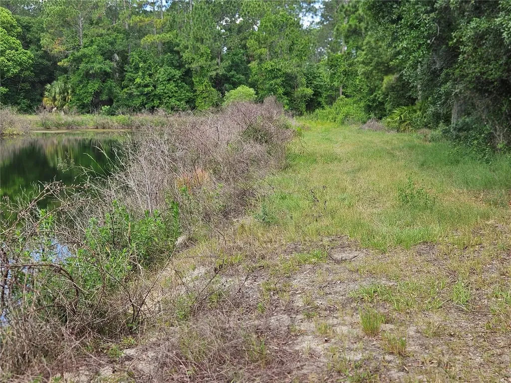 Burnsed Road Pierson FL 32180