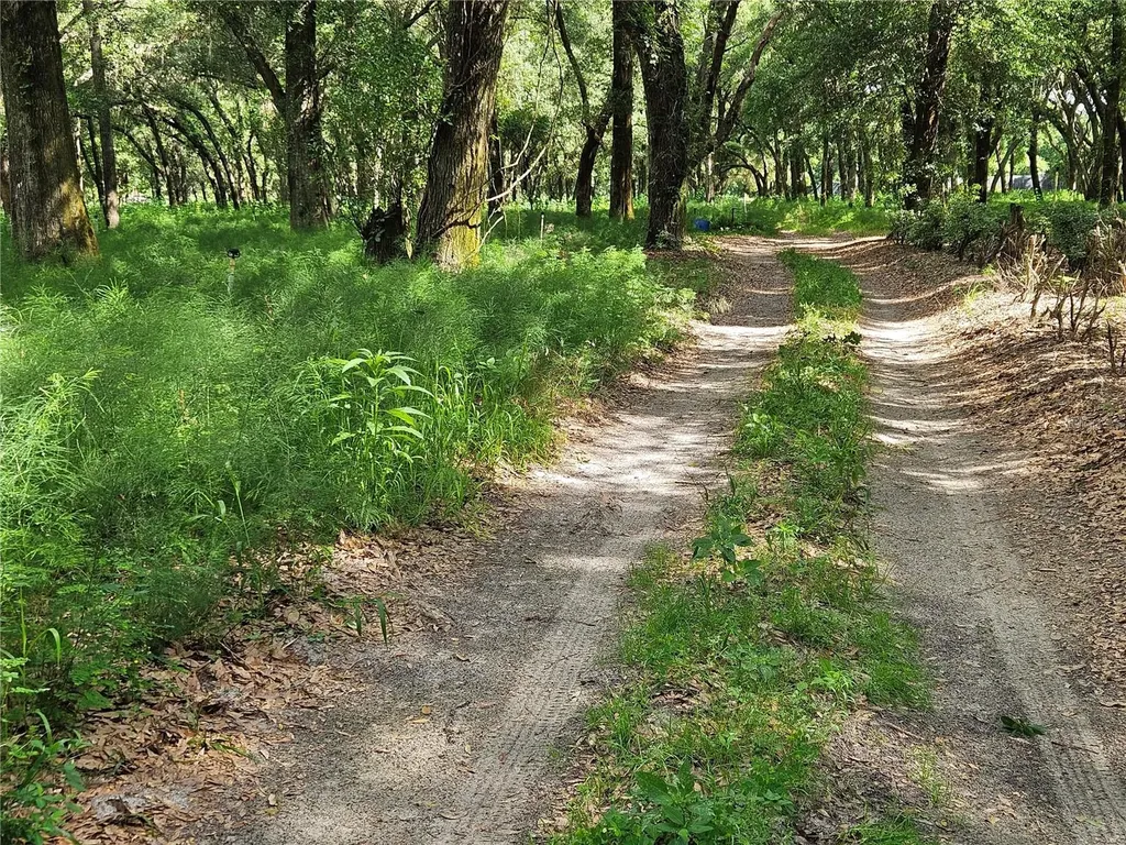 Burnsed Road Pierson FL 32180