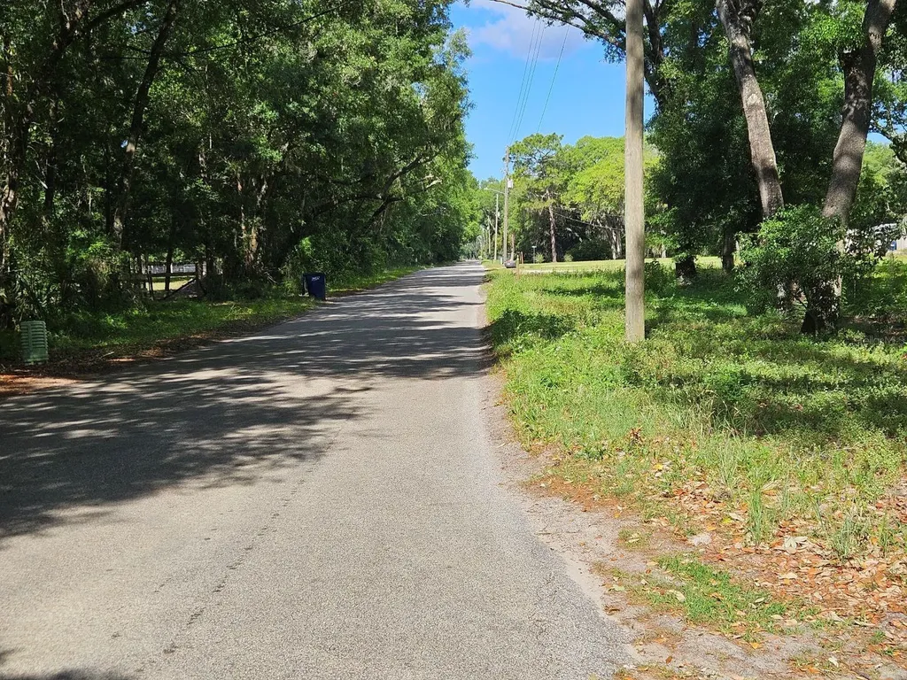Burnsed Road Pierson FL 32180