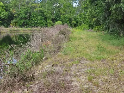 Burnsed Road Pierson FL 32180