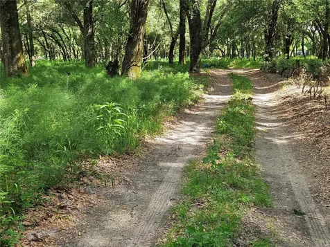 Burnsed Road Pierson FL 32180