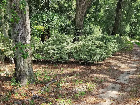 Burnsed Road Pierson FL 32180