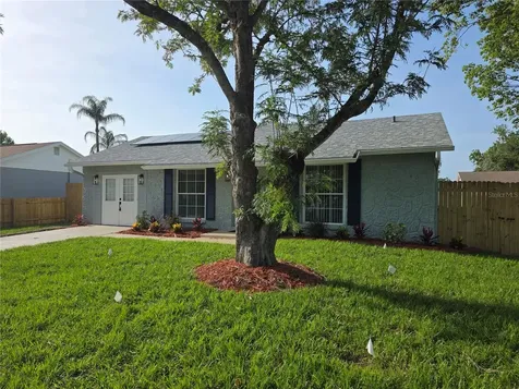 7329 Jenner Avenue New Port Richey FL 34655