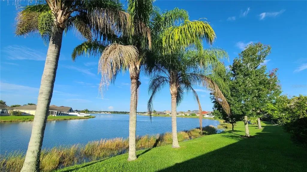 31422 Bridgegate Drive Wesley Chapel FL 33545