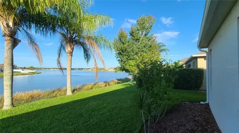 31422 Bridgegate Drive Wesley Chapel FL 33545