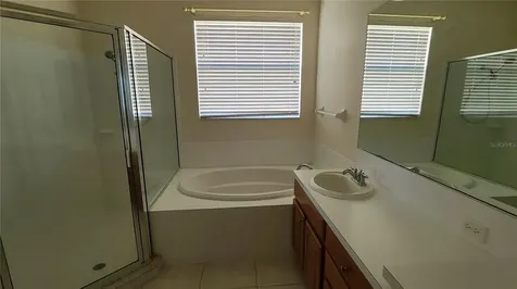 31422 Bridgegate Drive Wesley Chapel FL 33545