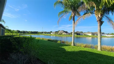 31422 Bridgegate Drive Wesley Chapel FL 33545