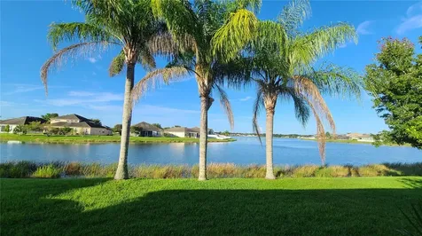 31422 Bridgegate Drive Wesley Chapel FL 33545
