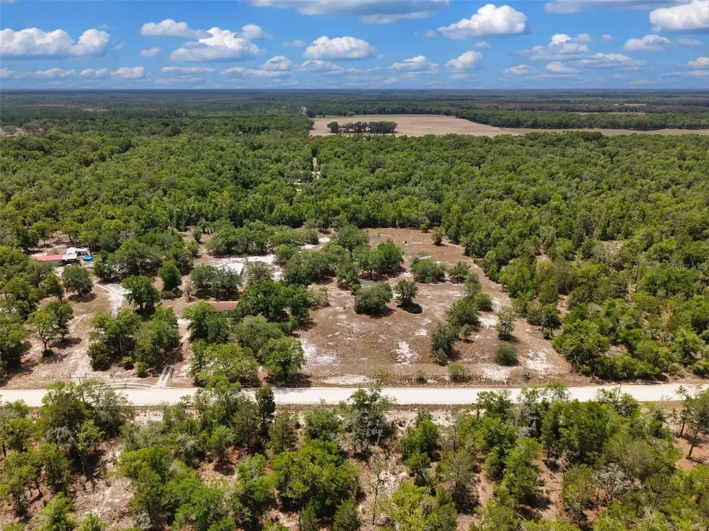 229 NW 93rd Lane Branford FL 32008