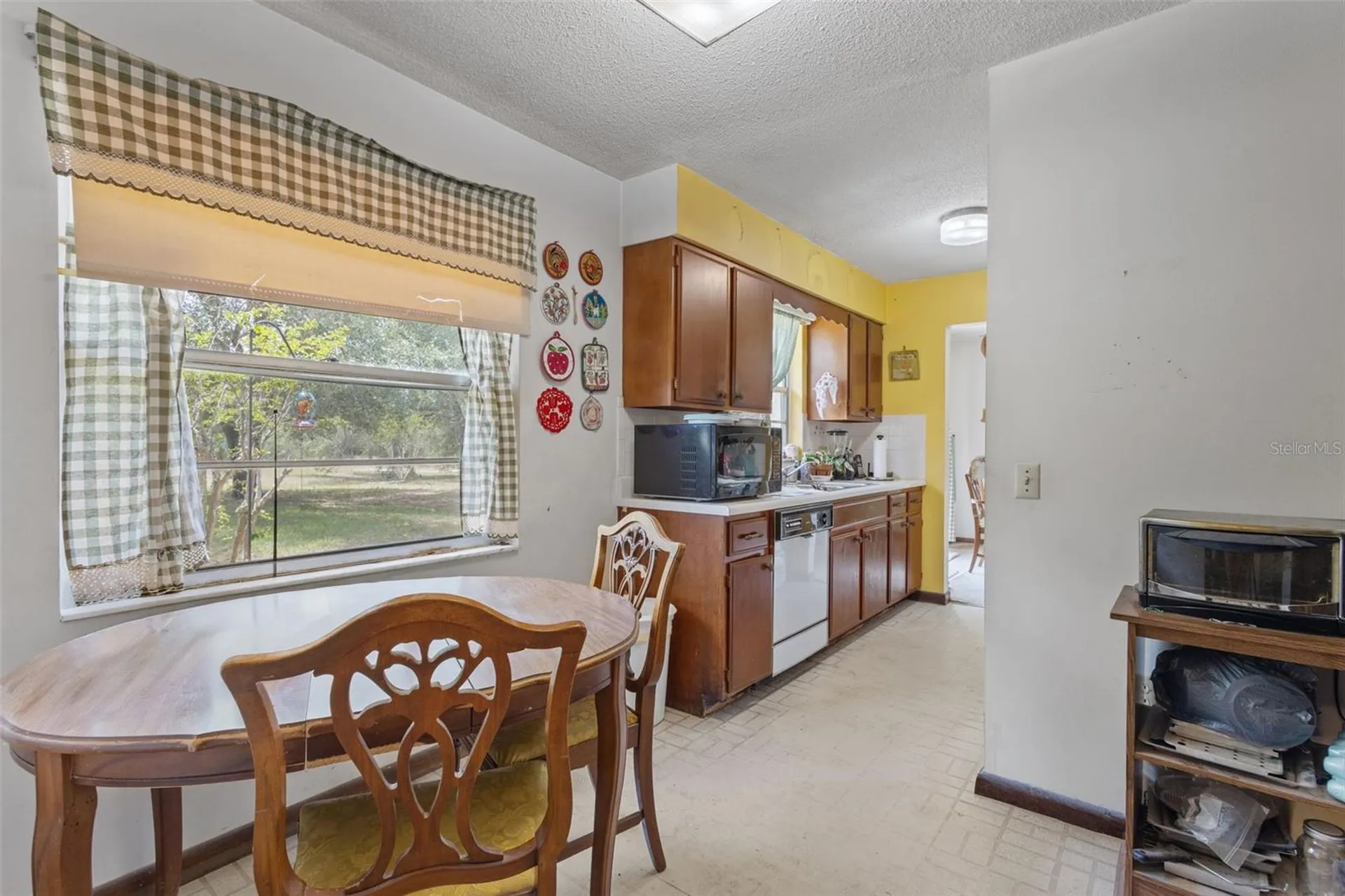 229 NW 93rd Lane Branford FL 32008