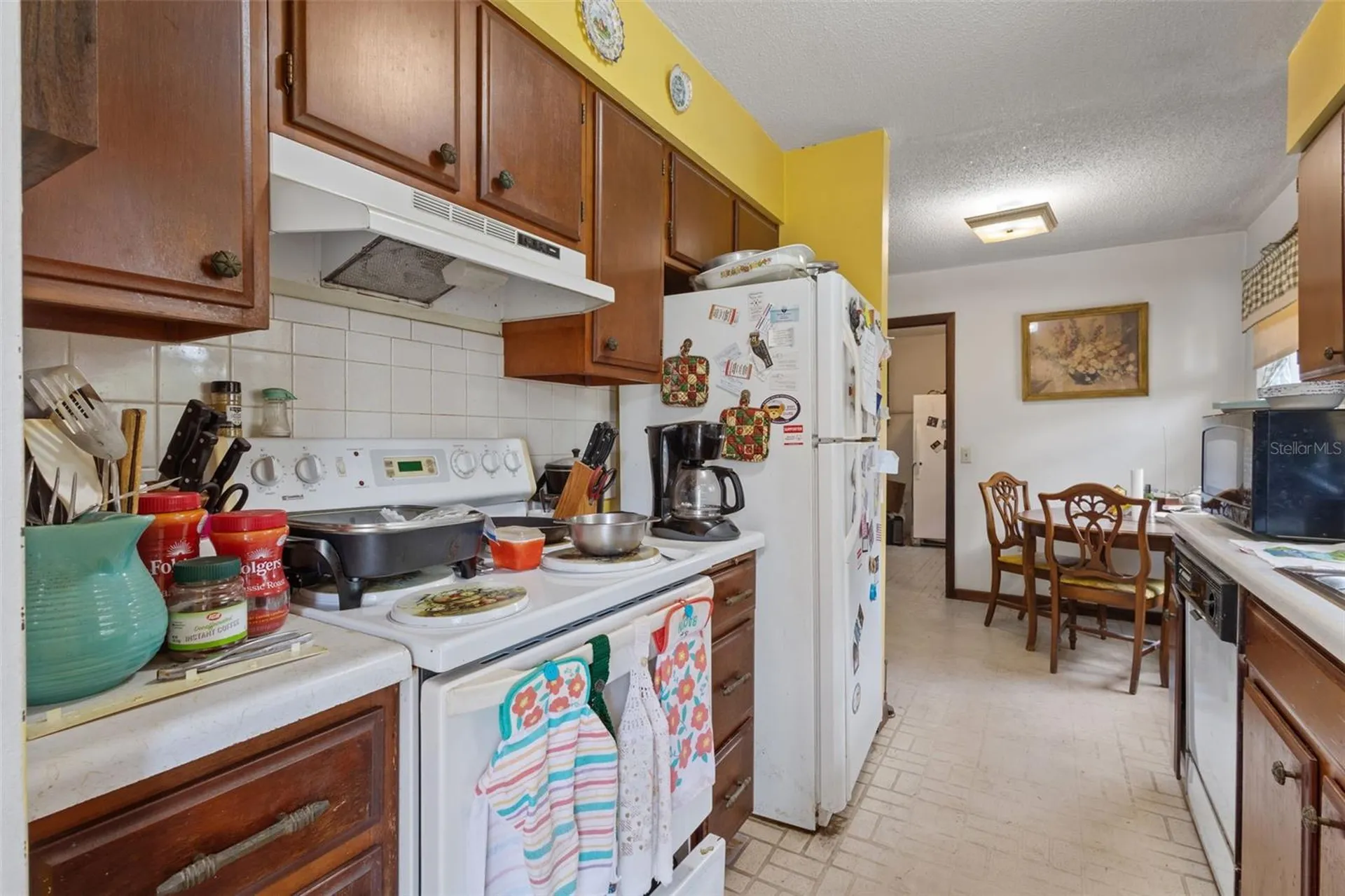 229 NW 93rd Lane Branford FL 32008