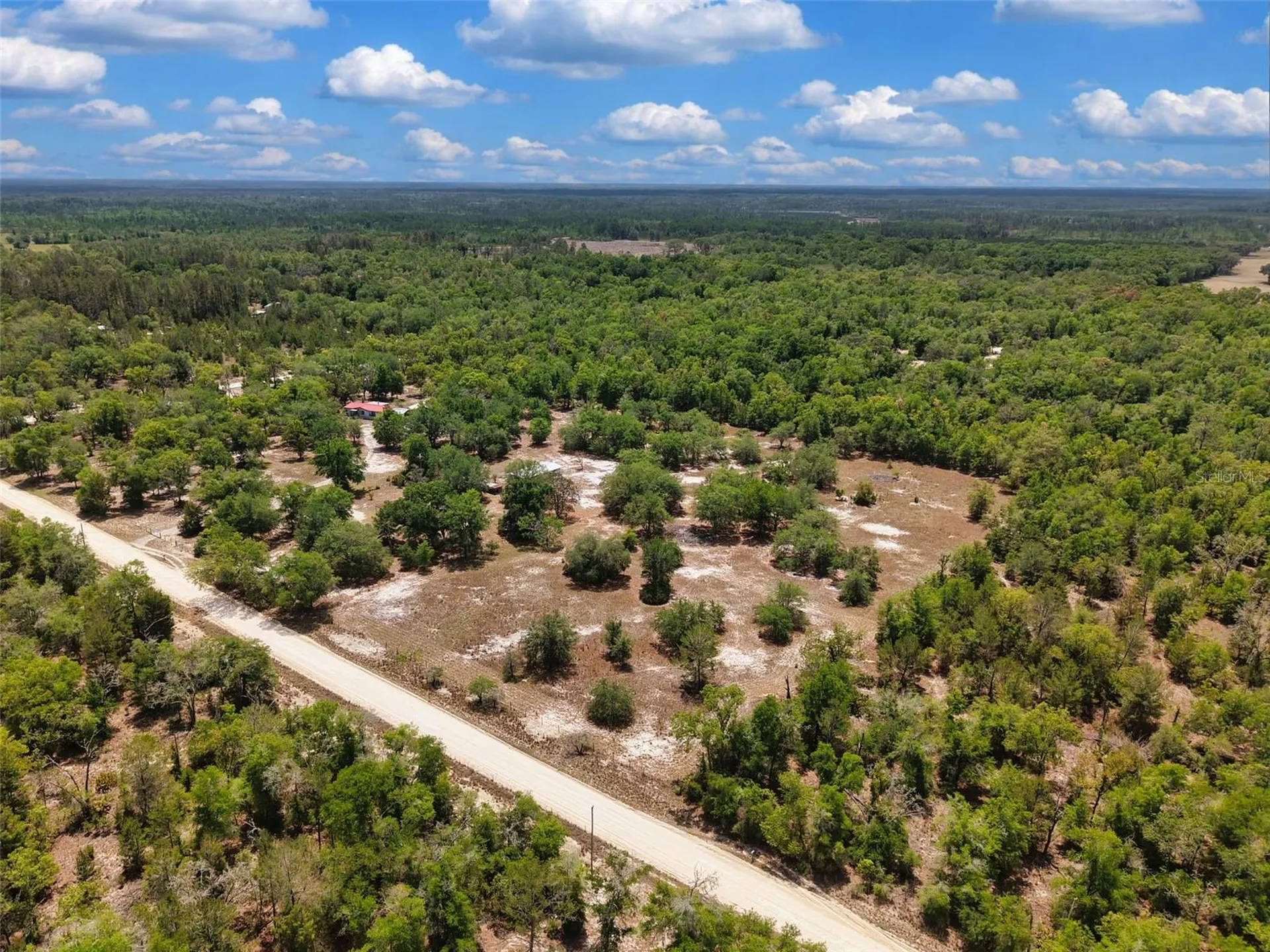 229 NW 93rd Lane Branford FL 32008