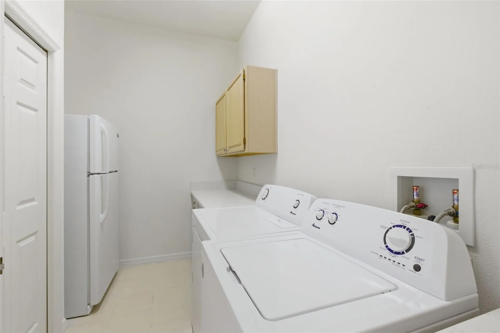 3626 Swans Landing Drive Land O Lakes FL 34639